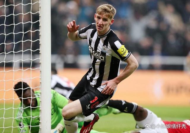 山东泰山冬窗离队名单