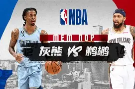 亚博体育-鹈鹕以前阵容